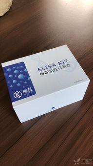 如何选择优质的ELISA试剂盒与试剂耗材 实用指南